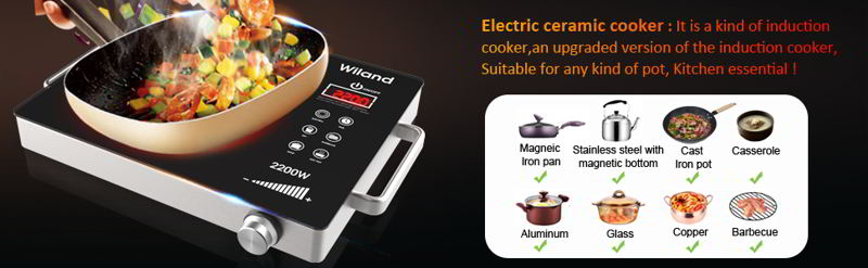 Portable Induction Cooktop Electric