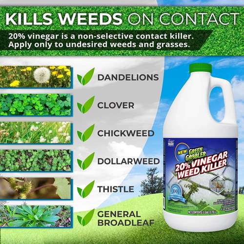 Green Gobbler Kills Weeds Types